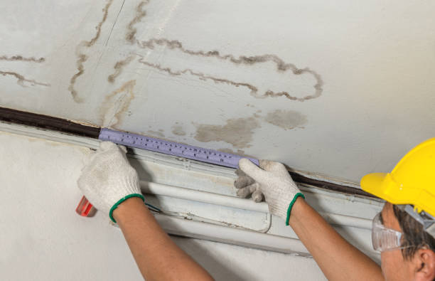 Reliable Water Damage Repair contractor in New Windsor, MD by Hirex Water Damage